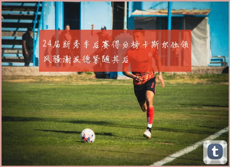24届新秀季后赛得分榜卡斯尔独领风骚谢泼德紧随其后