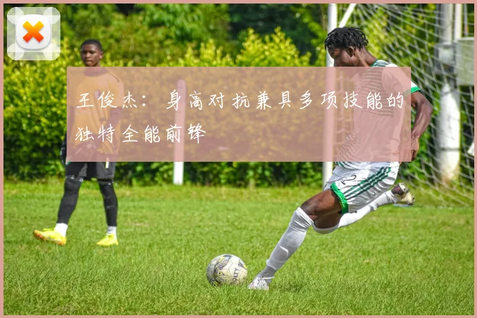 王俊杰：身高对抗兼具多项技能的独特全能前锋
